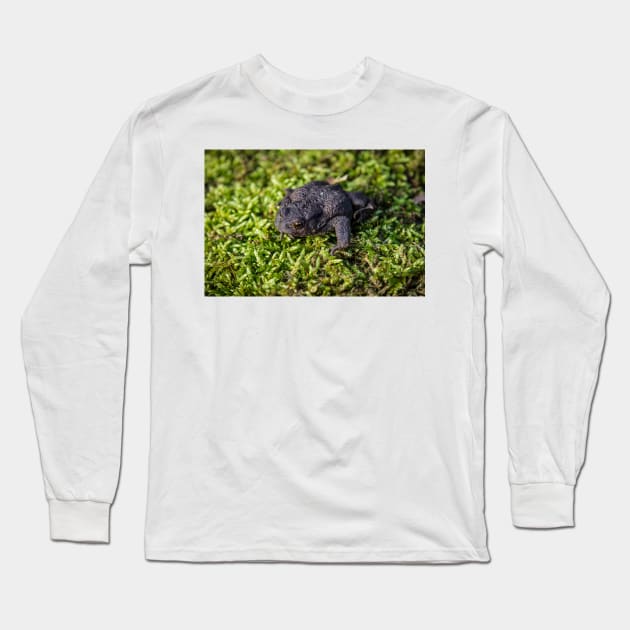 Common Toad - Margam 2012 Long Sleeve T-Shirt by SimplyMrHill